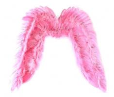 Крылья ангела розового цвета